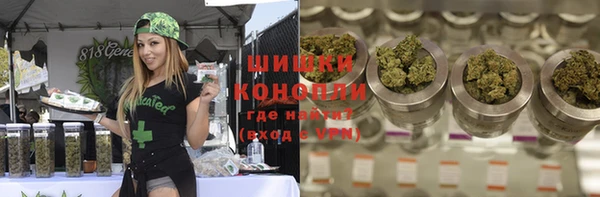 спайс Алзамай