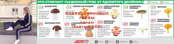 spice Алексин
