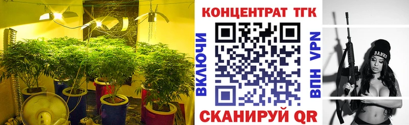 ТГК концентрат  Кирс 