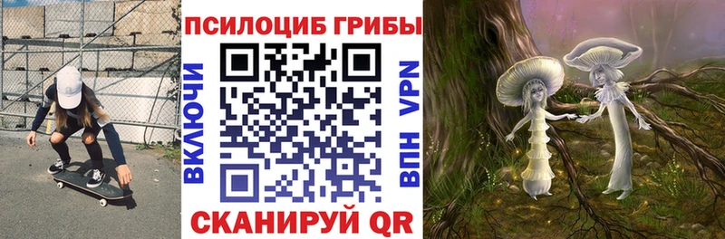 Галлюциногенные грибы GOLDEN TEACHER  где продают   Кирс 