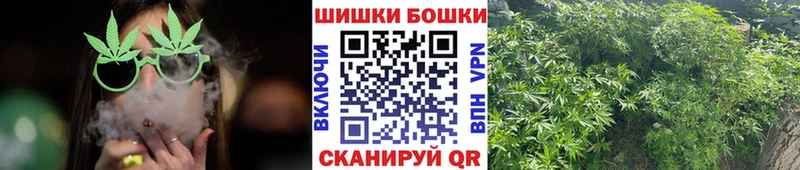 Бошки Шишки тримм  Кирс 